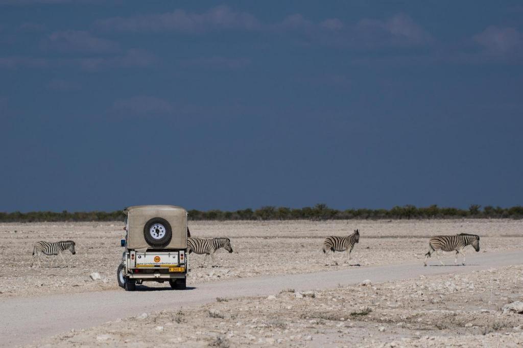 Etosha Safari Lodge, Etosha National Park, Namibia Окаукуэджо Экстерьер фото