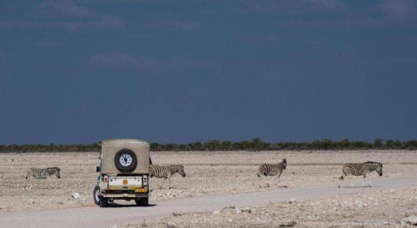 Etosha Safari Lodge, Etosha National Park, Namibia Окаукуэджо Экстерьер фото